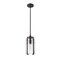 Z-Lite Alverton 1 Light Mini Pendant, Matte Black & Clear 3036MP-MB - alternate 2